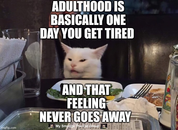 ADULTHOOD IS BASICALLY ONE DAY YOU GET TIRED; AND THAT FEELING NEVER GOES AWAY | image tagged in smudge the cat | made w/ Imgflip meme maker