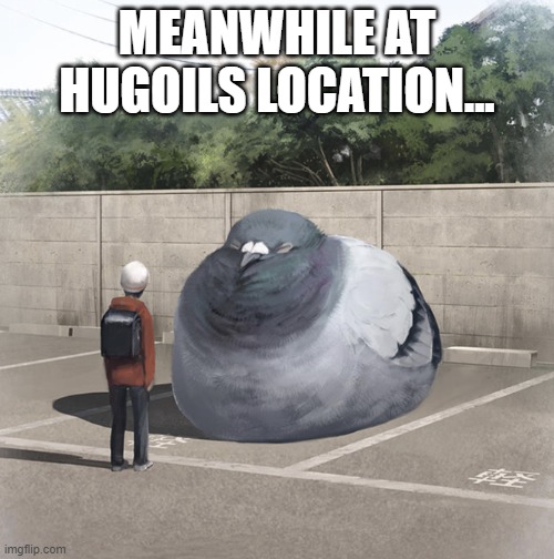 Beeg Birb | MEANWHILE AT HUGOILS LOCATION... | image tagged in beeg birb | made w/ Imgflip meme maker