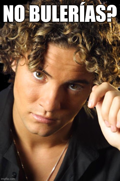 No Bitches? - David Bisbal edition | NO BULERÍAS? | image tagged in no bitches | made w/ Imgflip meme maker
