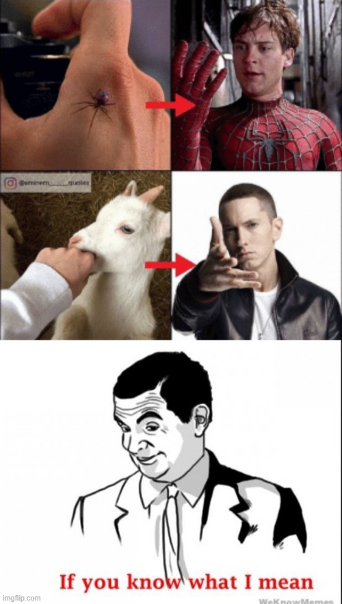 Eminem is the GOAT | image tagged in if you know what i mean | made w/ Imgflip meme maker