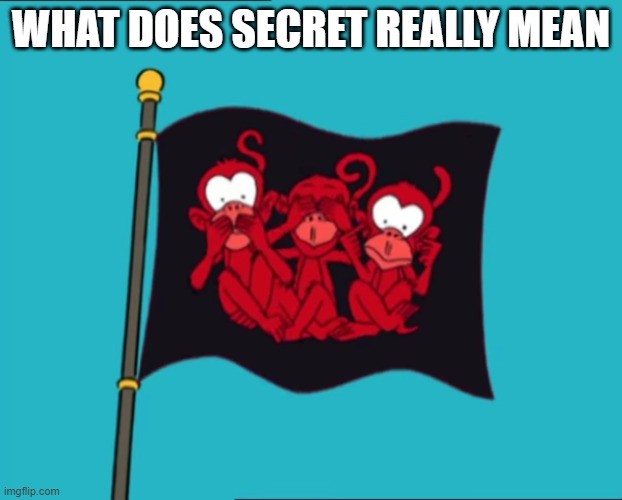  WHAT DOES SECRET REALLY MEAN | image tagged in memes,secret | made w/ Imgflip meme maker