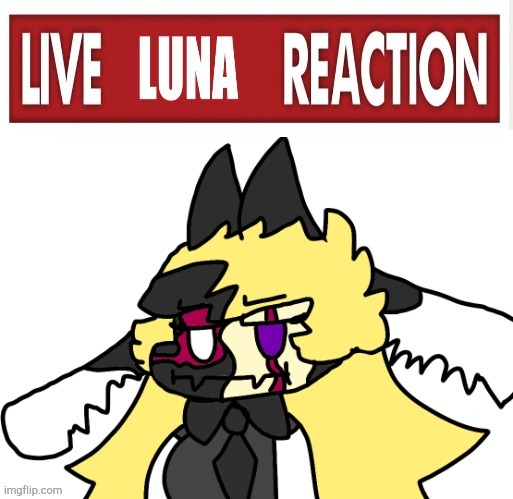 image tagged in live luna reaction | made w/ Imgflip meme maker