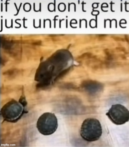 ninja turtles | image tagged in repost,ninja turtles | made w/ Imgflip meme maker