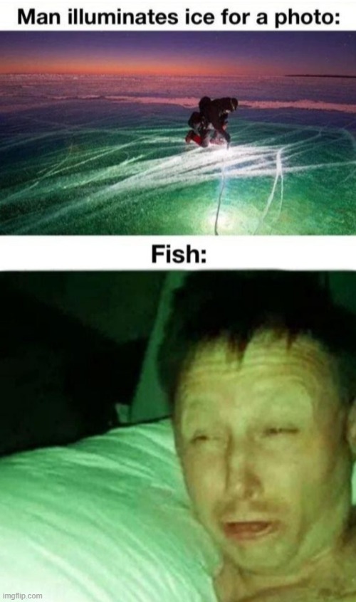 image tagged in memes | made w/ Imgflip meme maker