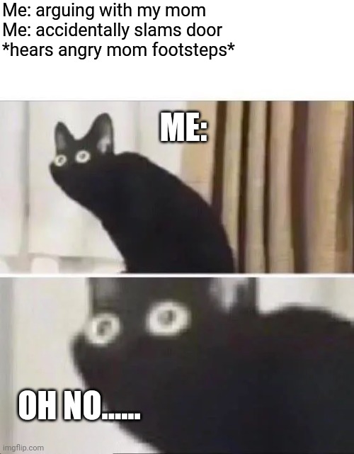 Oh No Black Cat | Me: arguing with my mom
Me: accidentally slams door
*hears angry mom footsteps*; ME:; OH NO...... | image tagged in oh no black cat | made w/ Imgflip meme maker