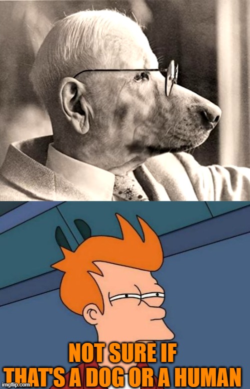 NOT SURE IF THAT'S A DOG OR A HUMAN | image tagged in memes,futurama fry | made w/ Imgflip meme maker