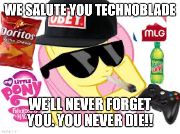 ? to Techno | WE SALUTE YOU TECHNOBLADE; WE’LL NEVER FORGET YOU. YOU NEVER DIE!! | image tagged in mlg pony,technoblade,mlg,rip,gaming,salute | made w/ Imgflip meme maker