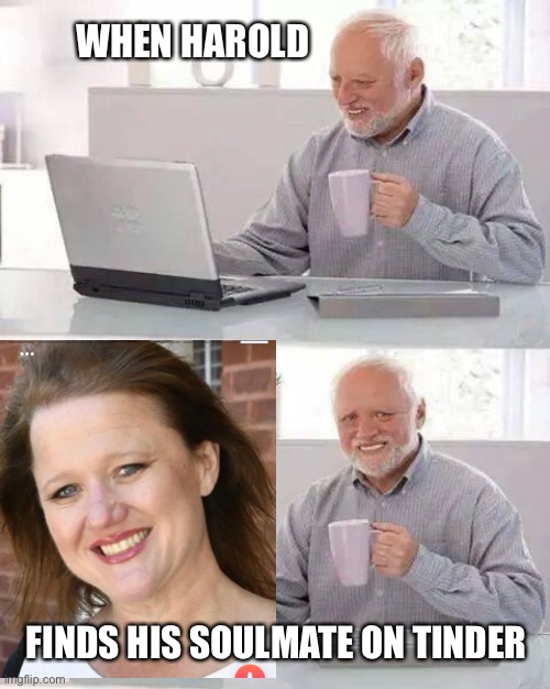 When Harold meet Sebastiana | WHEN HAROLD; FINDS HIS SOULMATE ON TINDER | image tagged in memes,hide the pain harold | made w/ Imgflip meme maker