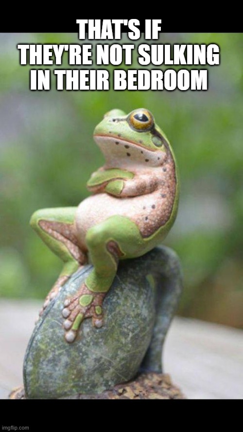 Sulking frog  | THAT'S IF THEY'RE NOT SULKING IN THEIR BEDROOM | image tagged in sulking frog | made w/ Imgflip meme maker