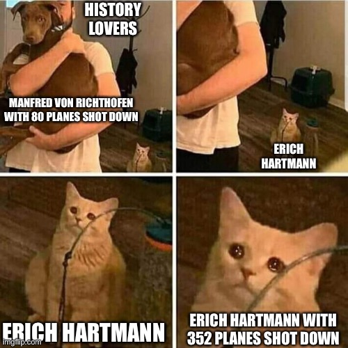 Sad Cat Holding Dog | HISTORY LOVERS; MANFRED VON RICHTHOFEN WITH 80 PLANES SHOT DOWN; ERICH HARTMANN; ERICH HARTMANN; ERICH HARTMANN WITH 352 PLANES SHOT DOWN | image tagged in sad cat holding dog,the red baron,erich hartmann | made w/ Imgflip meme maker