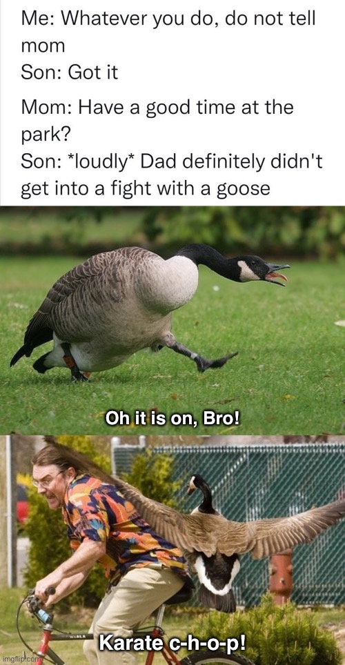 He got his Christmas goose early. | Oh it is on, Bro! Karate c-h-o-p! | image tagged in funny memes,thedad,goose,attack | made w/ Imgflip meme maker