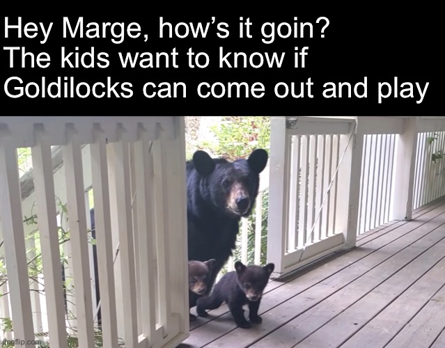 A Beary Fun Play Date | Hey Marge, how’s it goin?
The kids want to know if Goldilocks can come out and play | image tagged in funny memes,bears,goldilocks | made w/ Imgflip meme maker