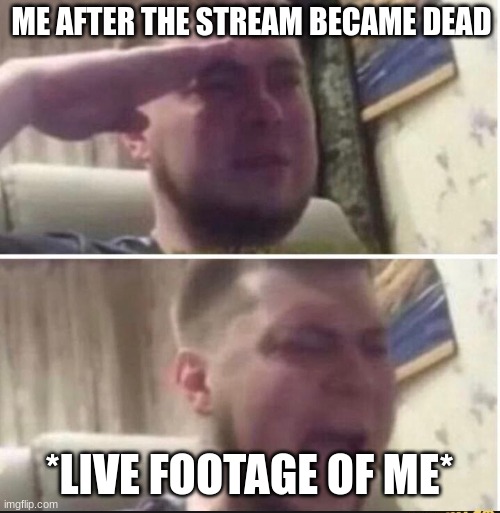 Crying salute | ME AFTER THE STREAM BECAME DEAD *LIVE FOOTAGE OF ME* | image tagged in crying salute | made w/ Imgflip meme maker