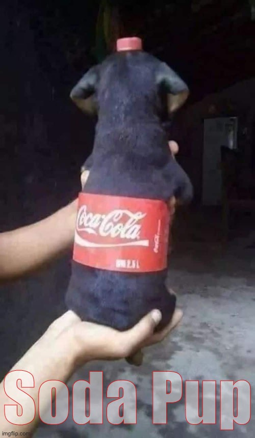 Soda Pup | image tagged in funny memes,dad jokes,eyeroll | made w/ Imgflip meme maker