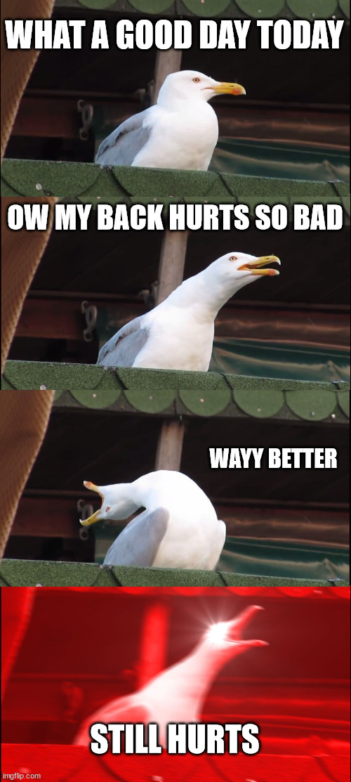 Inhaling Seagull | WHAT A GOOD DAY TODAY; OW MY BACK HURTS SO BAD; WAYY BETTER; STILL HURTS | image tagged in memes,inhaling seagull | made w/ Imgflip meme maker