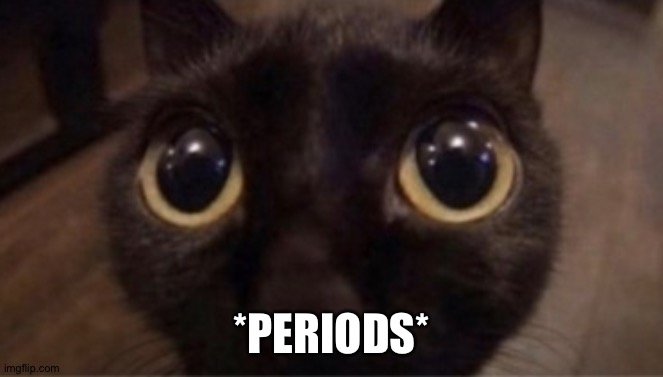 *PERIODS* | made w/ Imgflip meme maker