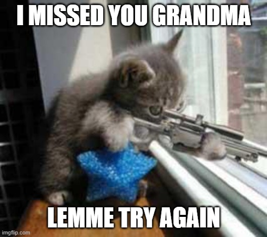 CatSniper | I MISSED YOU GRANDMA LEMME TRY AGAIN | image tagged in catsniper | made w/ Imgflip meme maker