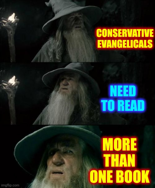 This Country Worked Because Of Our Diversity | CONSERVATIVE EVANGELICALS; MORE THAN ONE BOOK; NEED TO READ | image tagged in memes,confused gandalf,dumbasses,selfish,greed,conservative hypocrisy | made w/ Imgflip meme maker