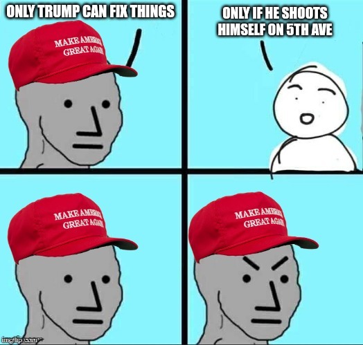 Still a Trump supporter? Have you considered your mental health options? | ONLY TRUMP CAN FIX THINGS; ONLY IF HE SHOOTS HIMSELF ON 5TH AVE | image tagged in maga npc | made w/ Imgflip meme maker