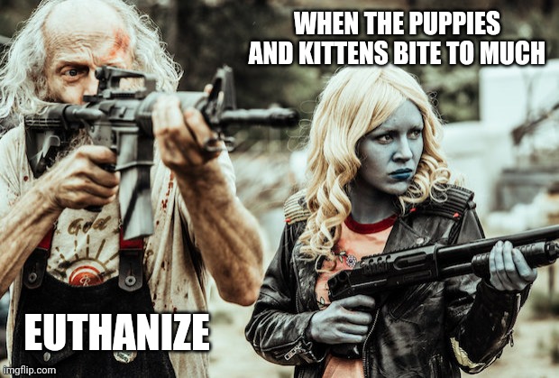 All the puppies and kittens want to do is play, they want target practice | WHEN THE PUPPIES AND KITTENS BITE TO MUCH; EUTHANIZE | image tagged in z nation | made w/ Imgflip meme maker