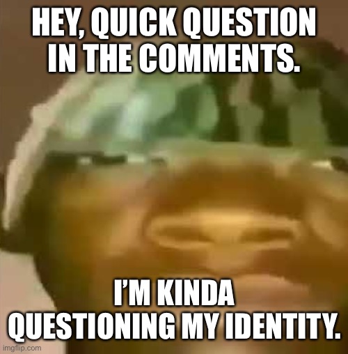 I’m really questioning this. | HEY, QUICK QUESTION IN THE COMMENTS. I’M KINDA QUESTIONING MY IDENTITY. | image tagged in shitpost | made w/ Imgflip meme maker