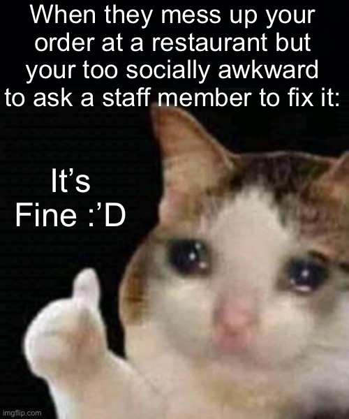 Just Me? Ok? | When they mess up your order at a restaurant but your too socially awkward to ask a staff member to fix it:; It’s Fine :’D | image tagged in black background,sad thumbs up cat,memes | made w/ Imgflip meme maker