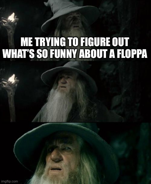 Confused Gandalf Meme | ME TRYING TO FIGURE OUT WHAT’S SO FUNNY ABOUT A FLOPPA | image tagged in memes,confused gandalf | made w/ Imgflip meme maker