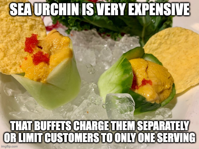 Uni | SEA URCHIN IS VERY EXPENSIVE; THAT BUFFETS CHARGE THEM SEPARATELY OR LIMIT CUSTOMERS TO ONLY ONE SERVING | image tagged in seafood,urchin,food,memes | made w/ Imgflip meme maker