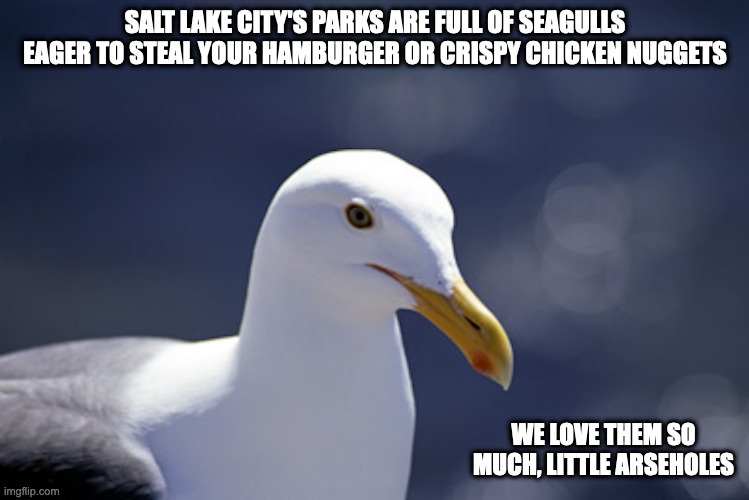 Seagull | SALT LAKE CITY'S PARKS ARE FULL OF SEAGULLS EAGER TO STEAL YOUR HAMBURGER OR CRISPY CHICKEN NUGGETS; WE LOVE THEM SO MUCH, LITTLE ARSEHOLES | image tagged in seagull,salt lake city,memes | made w/ Imgflip meme maker