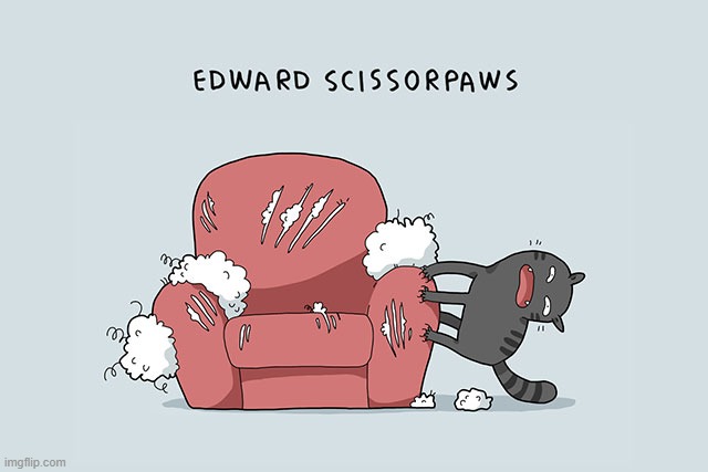 A Cat's Way Of Thinking | image tagged in memes,comics,cats,edward,scissors,paws | made w/ Imgflip meme maker