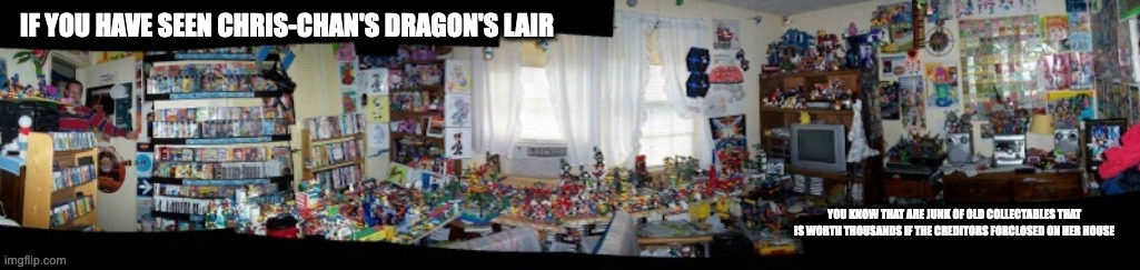 Panorama View of Chris-Chan's Room | IF YOU HAVE SEEN CHRIS-CHAN'S DRAGON'S LAIR; YOU KNOW THAT ARE JUNK OF OLD COLLECTABLES THAT IS WORTH THOUSANDS IF THE CREDITORS FORCLOSED ON HER HOUSE | image tagged in chris-chan,memes | made w/ Imgflip meme maker