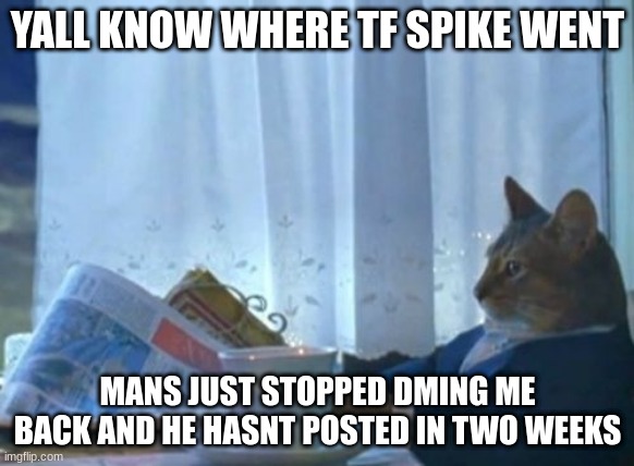 He may just be up to things but I am making something for him and kinda need to know where he went | YALL KNOW WHERE TF SPIKE WENT; MANS JUST STOPPED DMING ME BACK AND HE HASNT POSTED IN TWO WEEKS | image tagged in memes,i should buy a boat cat | made w/ Imgflip meme maker