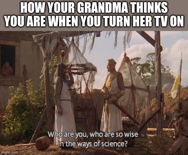 hm yes very smart | HOW YOUR GRANDMA THINKS YOU ARE WHEN YOU TURN HER TV ON | image tagged in who are you so wise in the ways of science | made w/ Imgflip meme maker