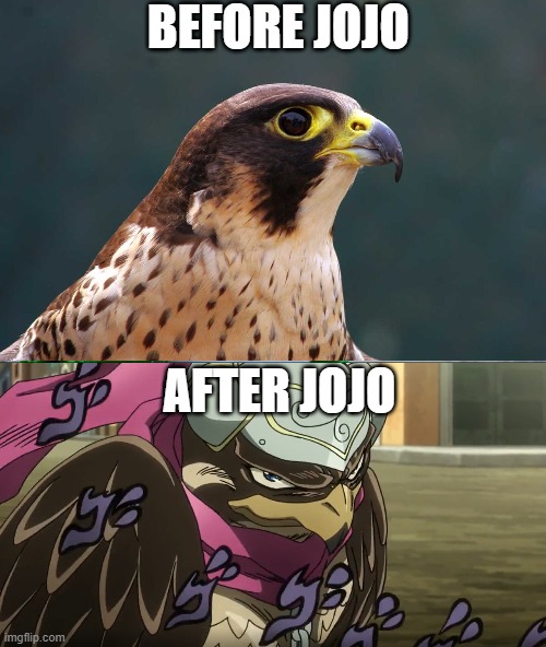 BEFORE JOJO; AFTER JOJO | image tagged in memes,success kid original | made w/ Imgflip meme maker