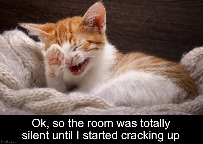 Ok, so the room was totally
silent until I started cracking up | made w/ Imgflip meme maker