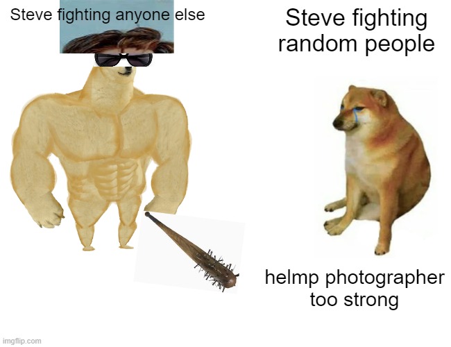 Steve | Steve fighting anyone else; Steve fighting random people; helmp photographer too strong | image tagged in memes,buff doge vs cheems | made w/ Imgflip meme maker