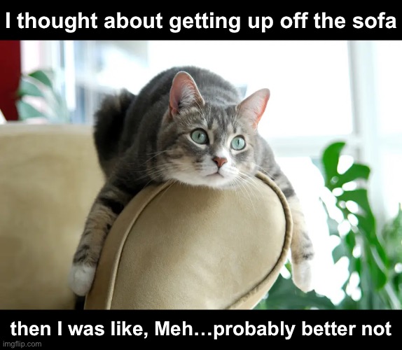 I thought about getting up off the sofa then I was like, Meh…probably better not | made w/ Imgflip meme maker