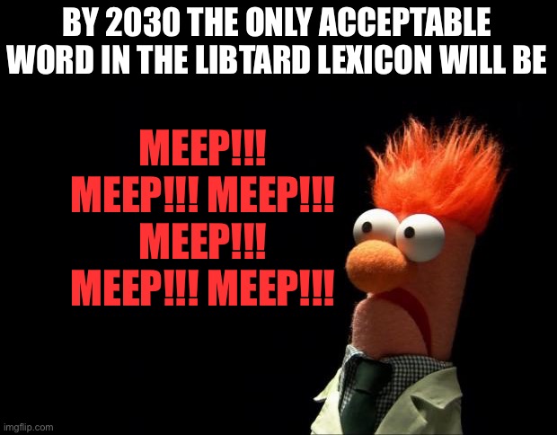 Beaker shocked face | MEEP!!! MEEP!!! MEEP!!! MEEP!!! MEEP!!! MEEP!!! BY 2030 THE ONLY ACCEPTABLE WORD IN THE LIBTARD LEXICON WILL BE | image tagged in beaker shocked face | made w/ Imgflip meme maker