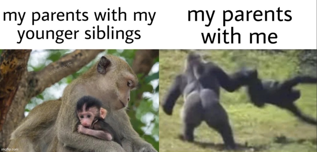 It’s terrifying | image tagged in parents,siblings | made w/ Imgflip meme maker