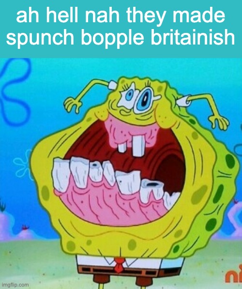 nooo not spingle bop | ah hell nah they made spunch bopple britainish | image tagged in spongebob face freeze | made w/ Imgflip meme maker