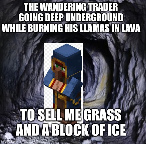 Wandering trader | THE WANDERING TRADER GOING DEEP UNDERGROUND WHILE BURNING HIS LLAMAS IN LAVA; TO SELL ME GRASS AND A BLOCK OF ICE | image tagged in funny,minecraft | made w/ Imgflip meme maker