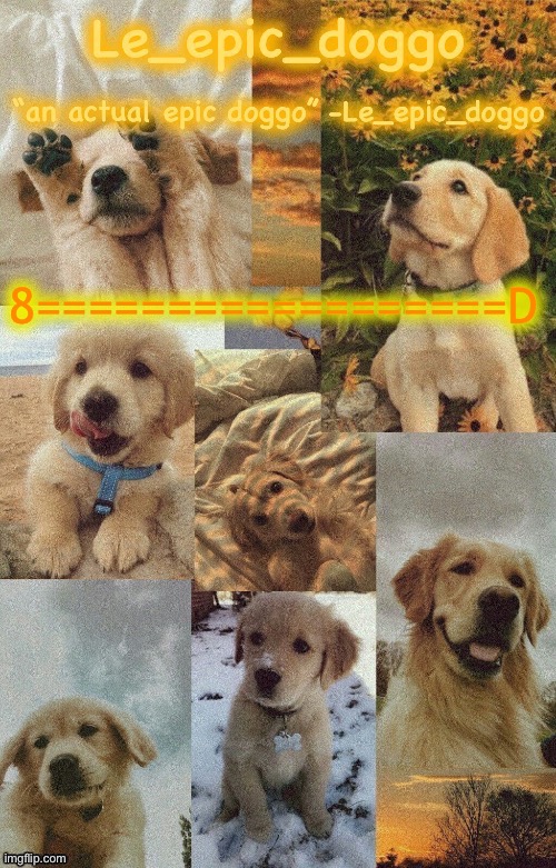 Doggo temp by doggo. Wait what that’s confusing | 8==================D | image tagged in doggo temp by doggo wait what that s confusing | made w/ Imgflip meme maker