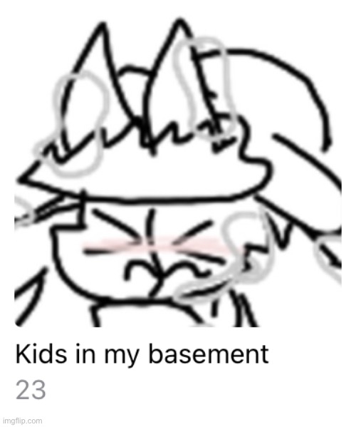 No kids for you | image tagged in kids in my basement | made w/ Imgflip meme maker