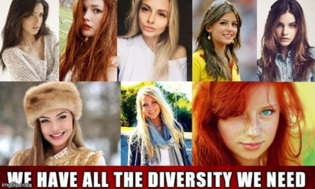 EUROPEAN DIVERSITY | image tagged in european diversity | made w/ Imgflip meme maker