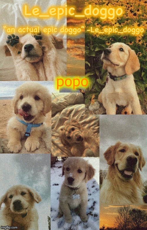 Doggo temp by doggo. Wait what that’s confusing | popo | image tagged in doggo temp by doggo wait what that s confusing | made w/ Imgflip meme maker