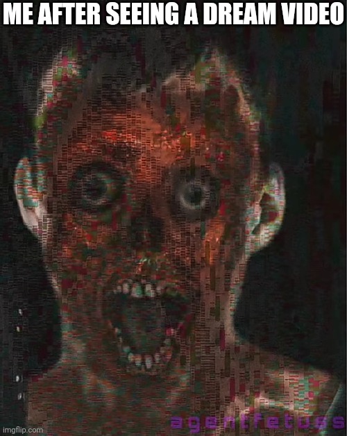 ME AFTER SEEING A DREAM VIDEO | made w/ Imgflip meme maker