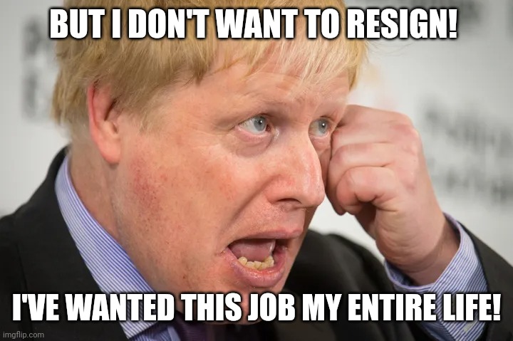 But I want 10 more years | BUT I DON'T WANT TO RESIGN! I'VE WANTED THIS JOB MY ENTIRE LIFE! | image tagged in boris johnson,boris,spoiled brat,selfish,prime minister,dickhead | made w/ Imgflip meme maker