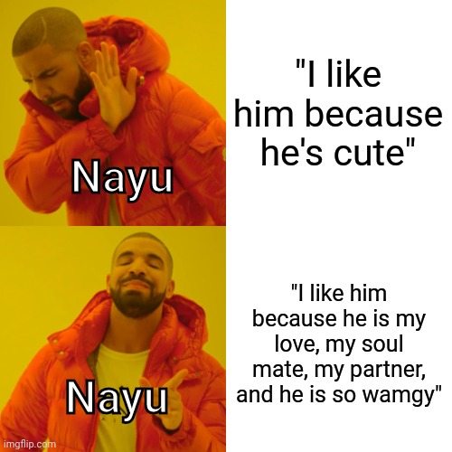 Lol, My OC is too weird | "I like him because he's cute"; Nayu; "I like him because he is my love, my soul mate, my partner, and he is so wamgy"; Nayu | image tagged in memes,drake hotline bling | made w/ Imgflip meme maker