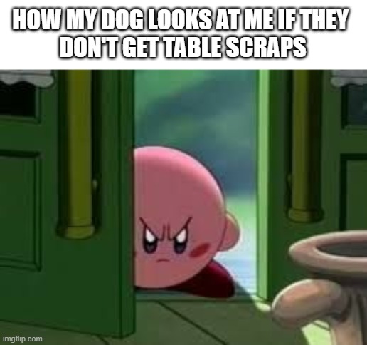 table scraps | HOW MY DOG LOOKS AT ME IF THEY 
DON'T GET TABLE SCRAPS | image tagged in pissed off kirby,dog memes | made w/ Imgflip meme maker