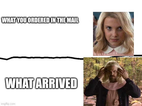 Eleven Mail Comparison | WHAT YOU ORDERED IN THE MAIL; WHAT ARRIVED | image tagged in blank white template,stranger things,delivery,online shopping | made w/ Imgflip meme maker